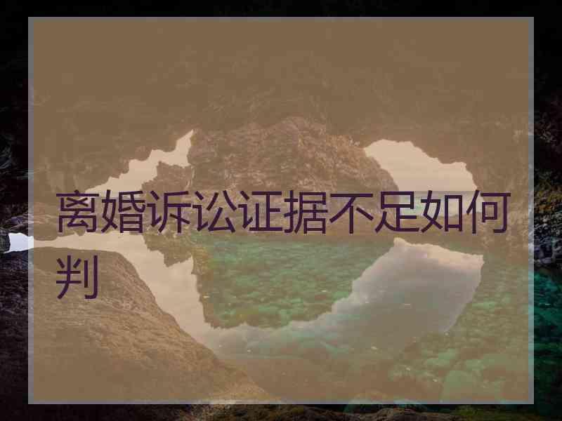 离婚诉讼证据不足如何判