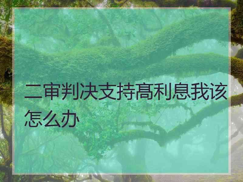 二审判决支持髙利息我该怎么办