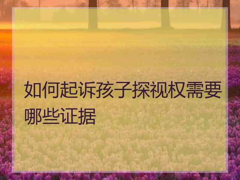 如何起诉孩子探视权需要哪些证据