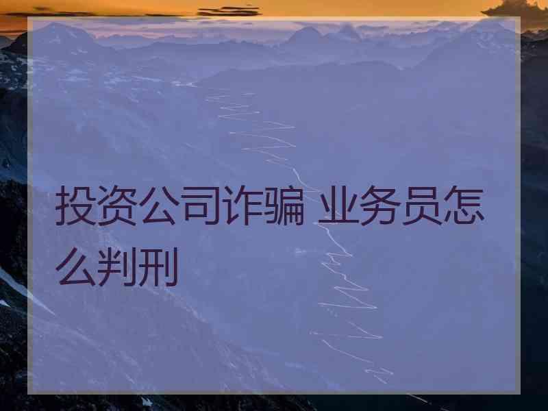 投资公司诈骗 业务员怎么判刑