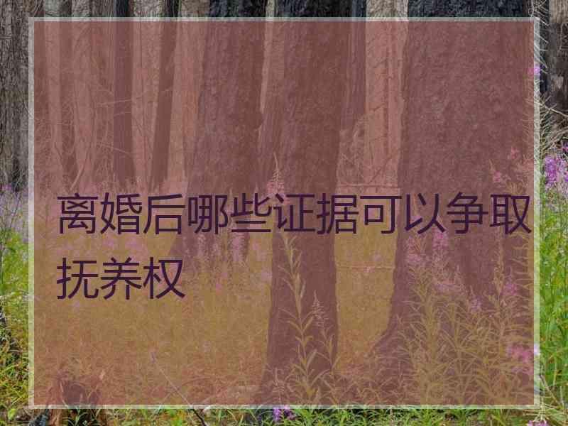 离婚后哪些证据可以争取抚养权