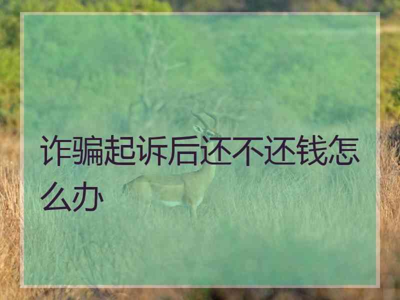 诈骗起诉后还不还钱怎么办