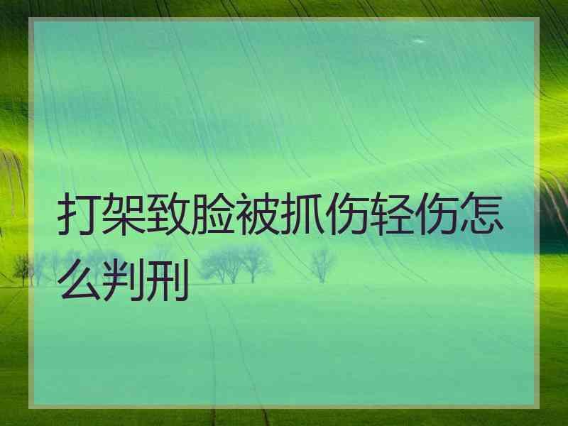 打架致脸被抓伤轻伤怎么判刑