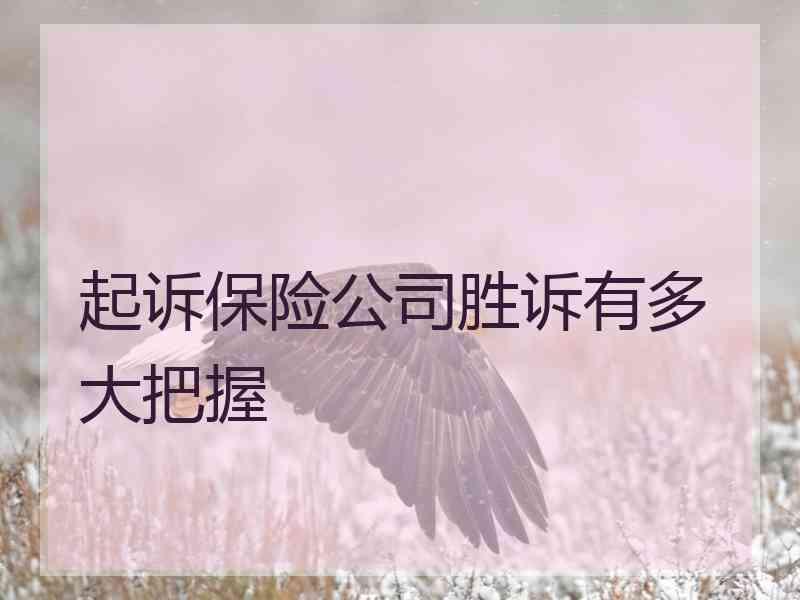 起诉保险公司胜诉有多大把握