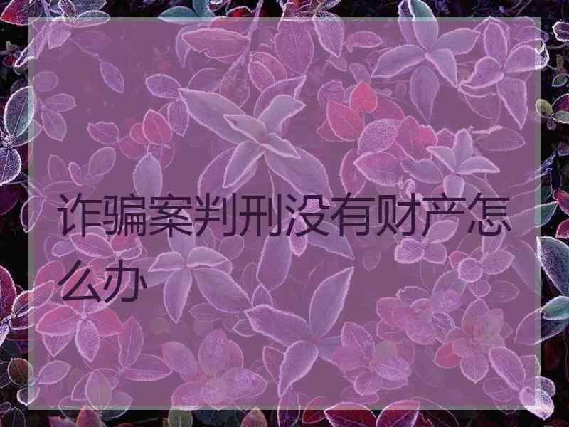 诈骗案判刑没有财产怎么办