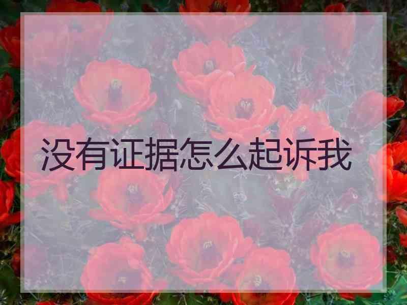 没有证据怎么起诉我