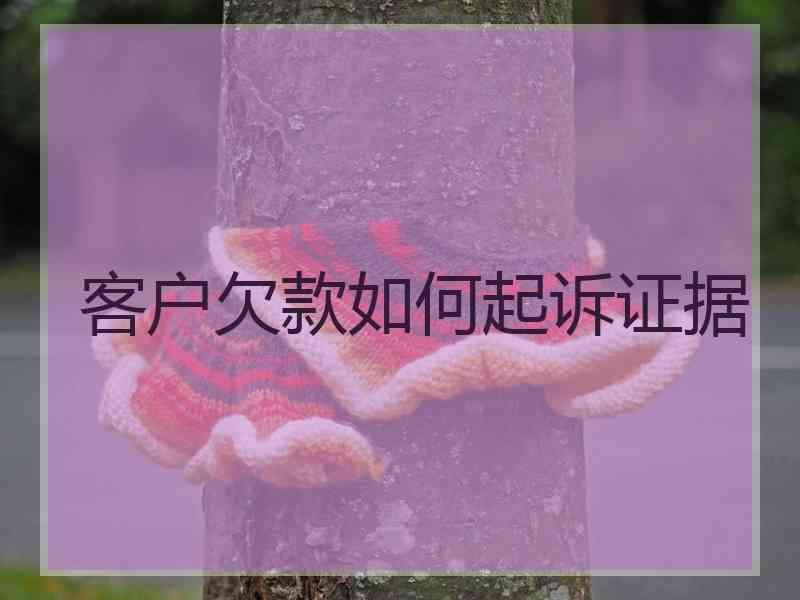 客户欠款如何起诉证据