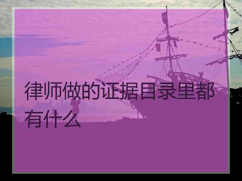 律师做的证据目录里都有什么