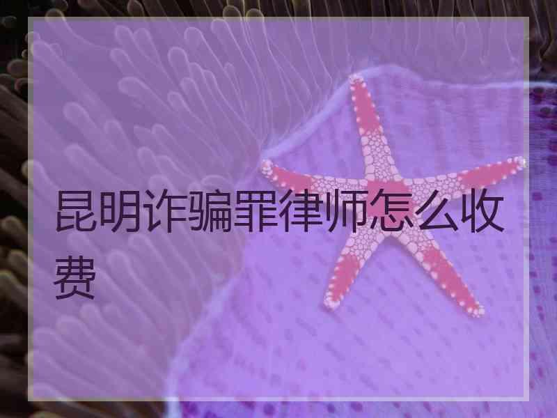 昆明诈骗罪律师怎么收费