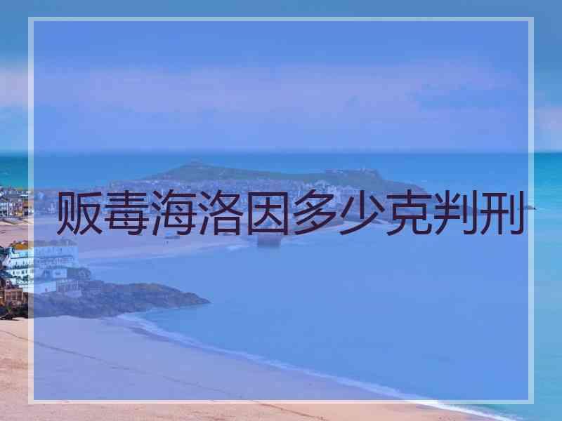 贩毒海洛因多少克判刑