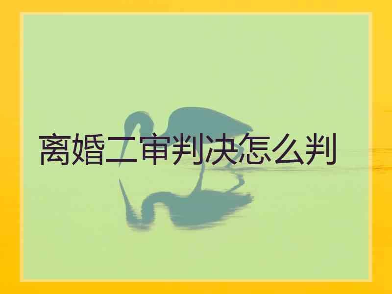 离婚二审判决怎么判