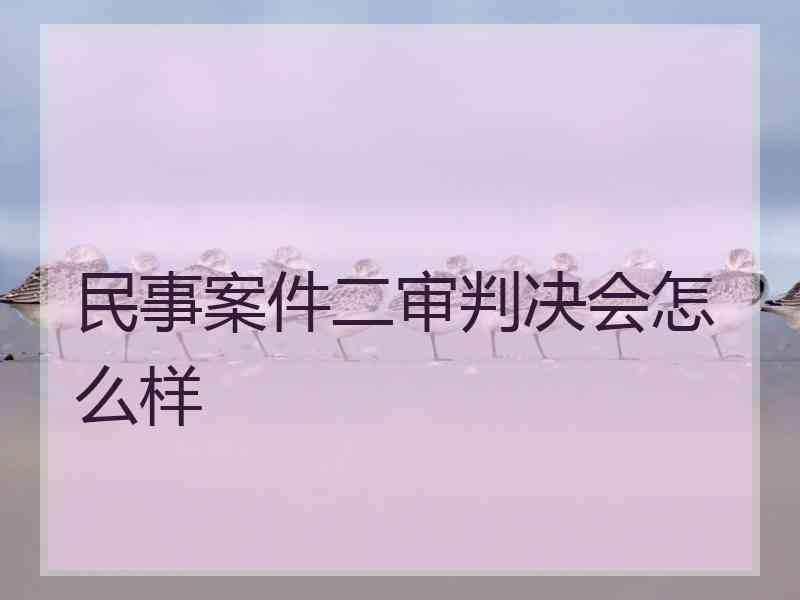 民事案件二审判决会怎么样