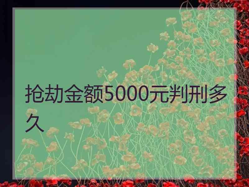 抢劫金额5000元判刑多久