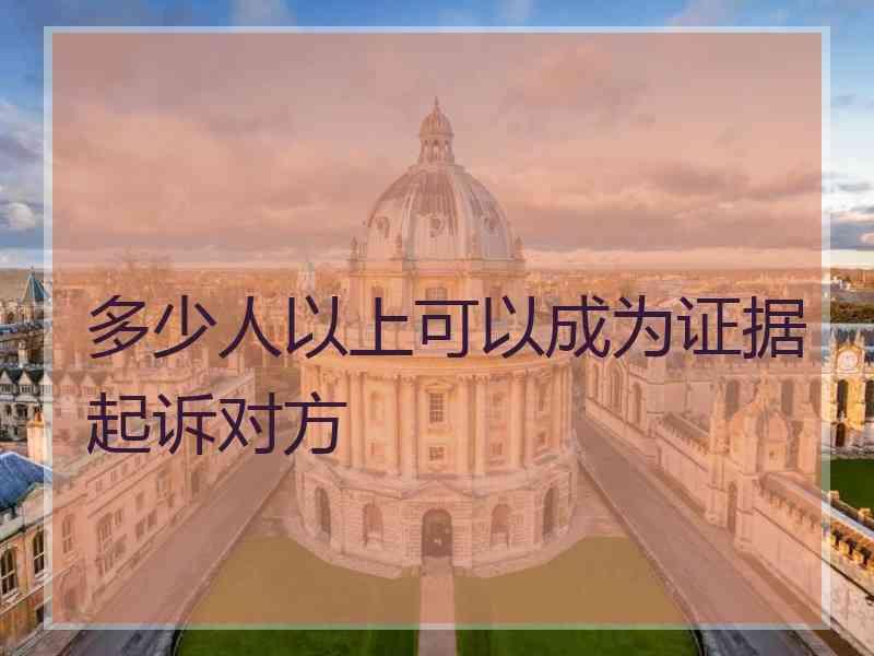 多少人以上可以成为证据起诉对方