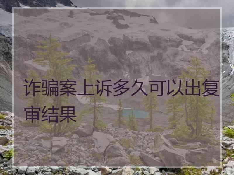 诈骗案上诉多久可以出复审结果
