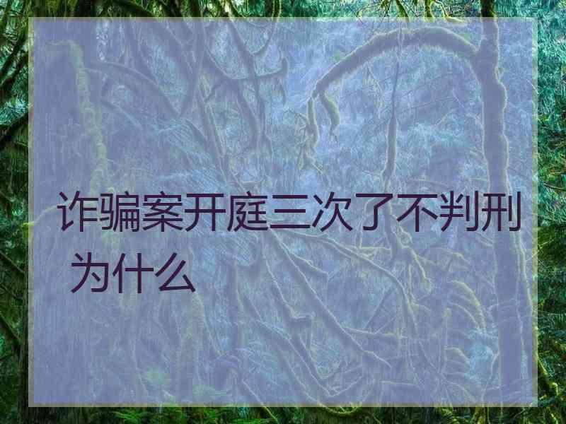 诈骗案开庭三次了不判刑 为什么