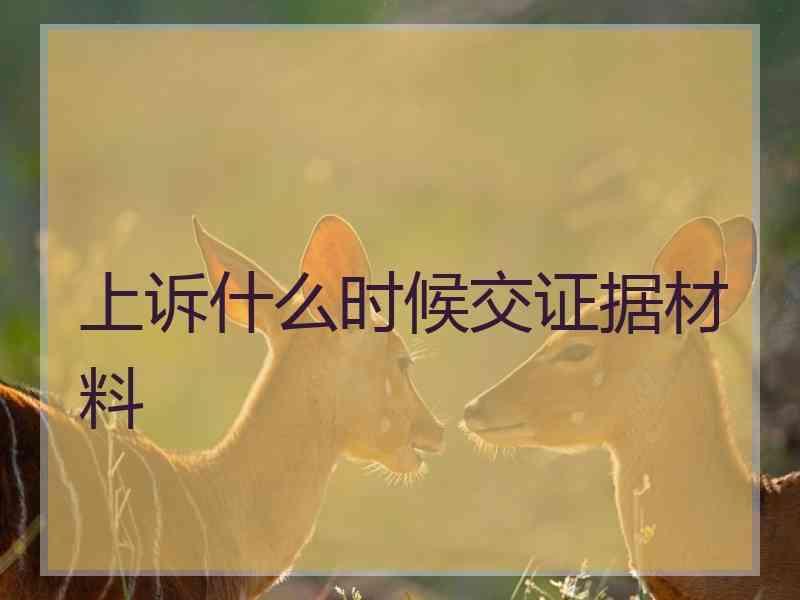 上诉什么时候交证据材料