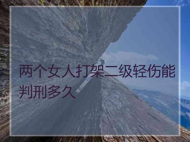 两个女人打架二级轻伤能判刑多久