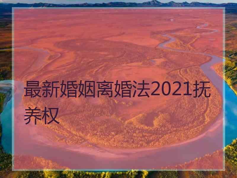 最新婚姻离婚法2021抚养权