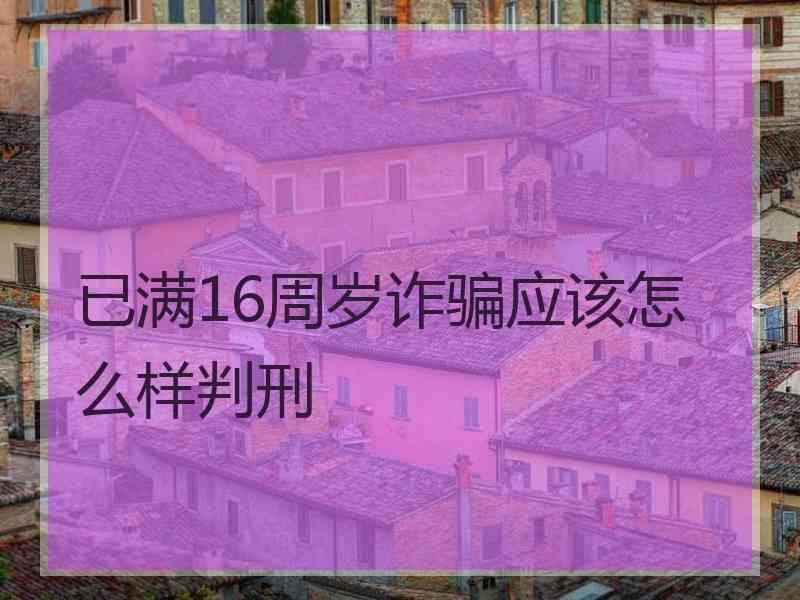 已满16周岁诈骗应该怎么样判刑