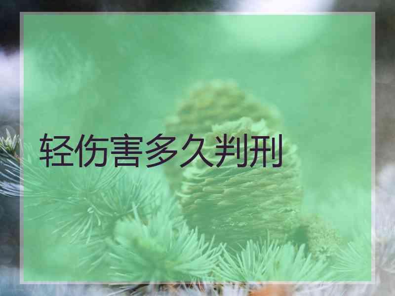 轻伤害多久判刑