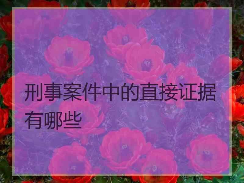 刑事案件中的直接证据有哪些