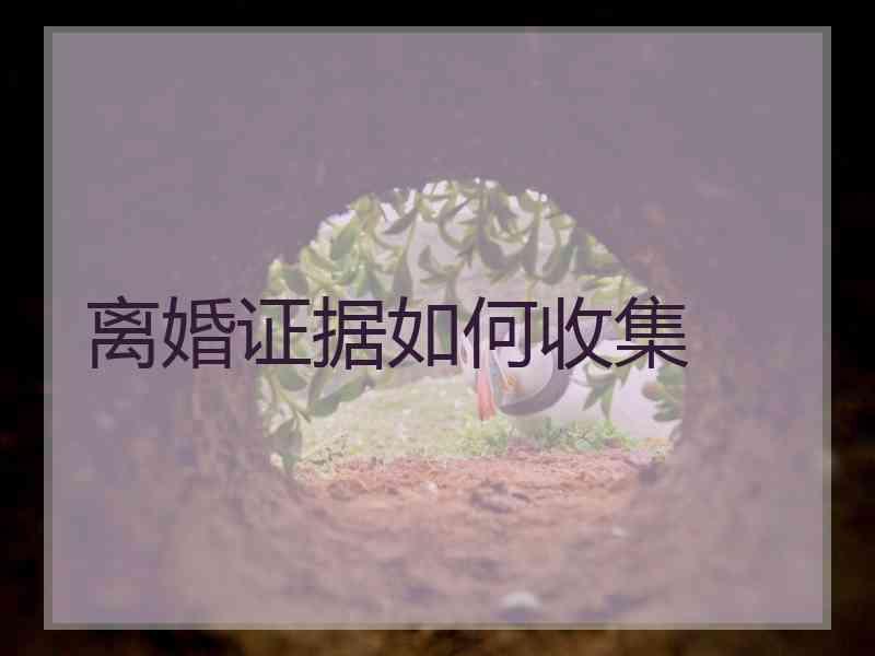离婚证据如何收集