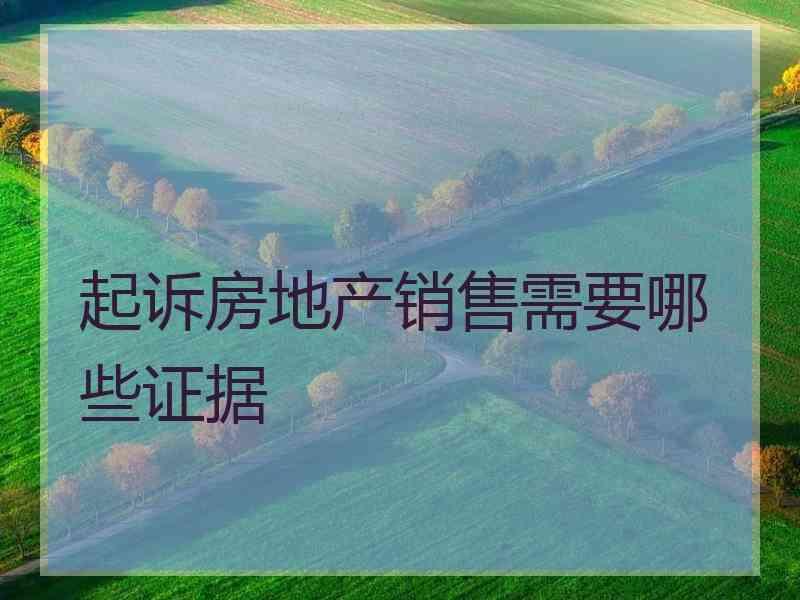 起诉房地产销售需要哪些证据