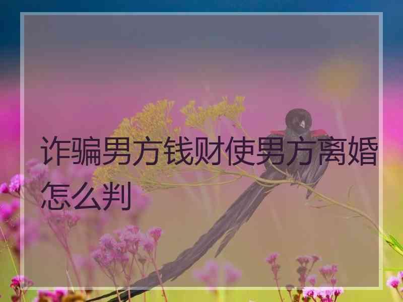 诈骗男方钱财使男方离婚怎么判