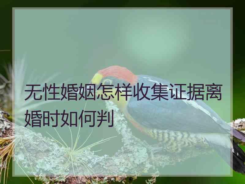 无性婚姻怎样收集证据离婚时如何判