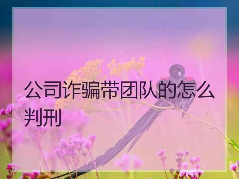 公司诈骗带团队的怎么判刑