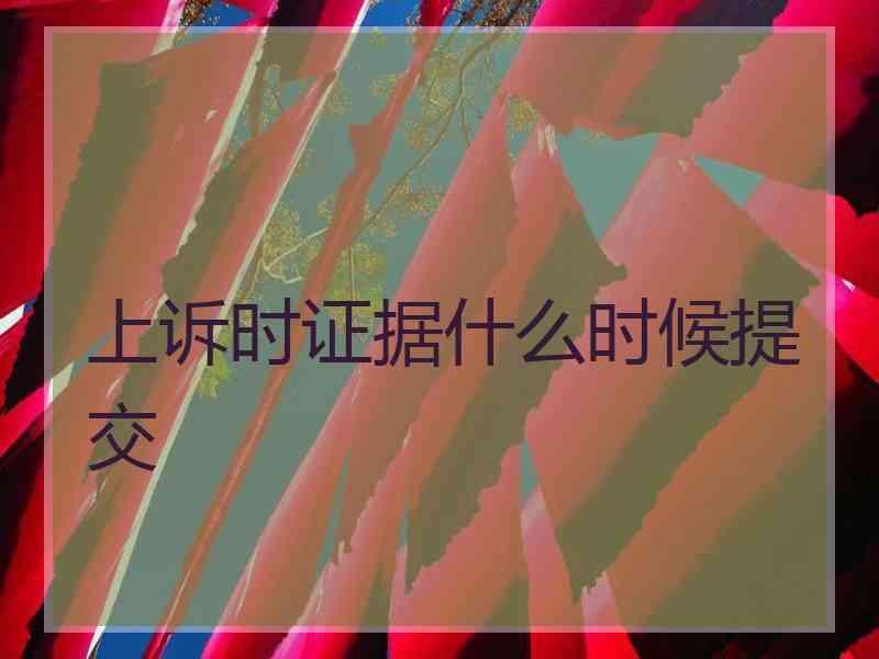 上诉时证据什么时候提交