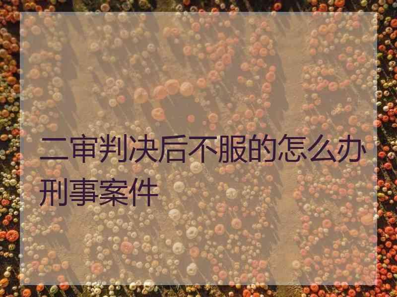 二审判决后不服的怎么办刑事案件