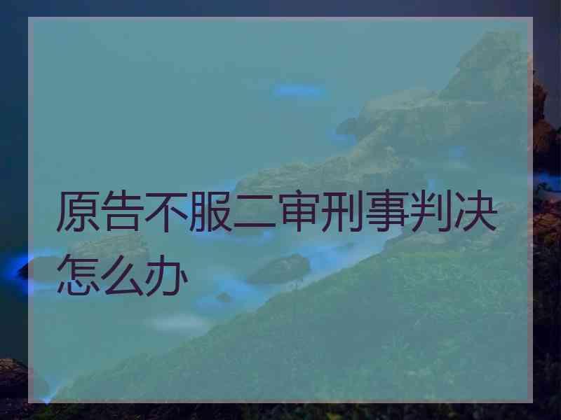 原告不服二审刑事判决怎么办