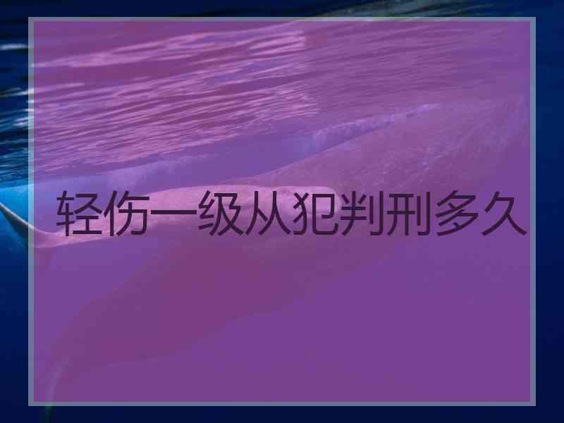 轻伤一级从犯判刑多久