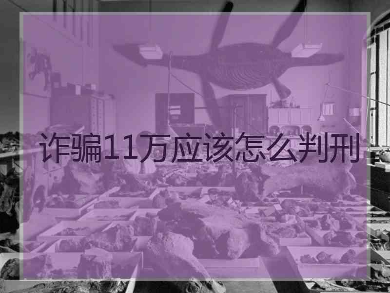 诈骗11万应该怎么判刑