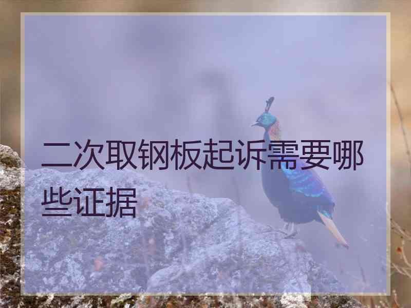 二次取钢板起诉需要哪些证据