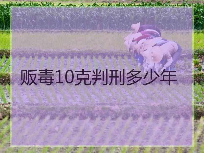 贩毒10克判刑多少年