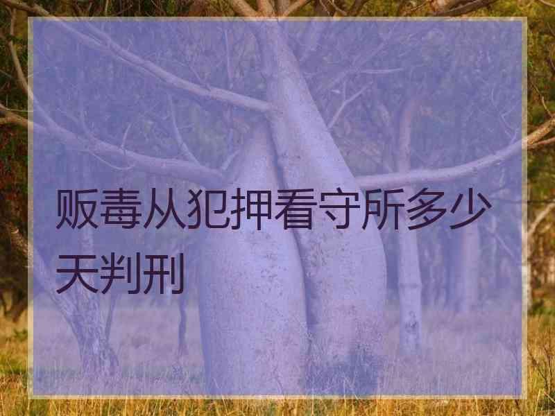 贩毒从犯押看守所多少天判刑