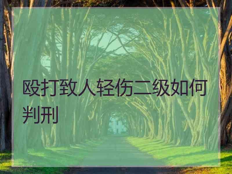 殴打致人轻伤二级如何判刑