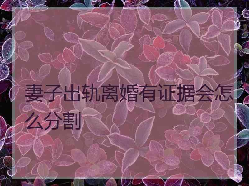 妻子出轨离婚有证据会怎么分割