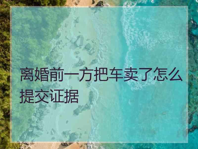 离婚前一方把车卖了怎么提交证据