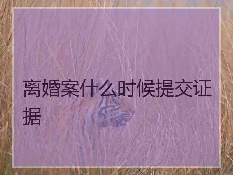 离婚案什么时候提交证据