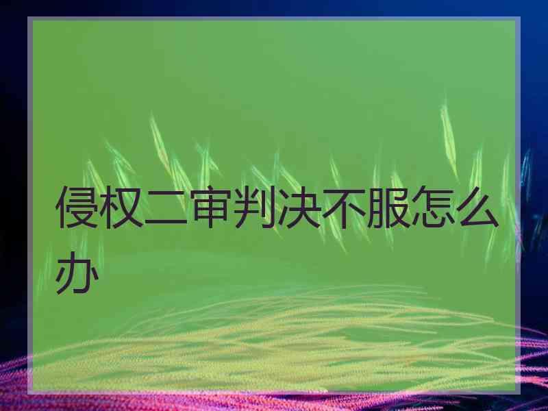 侵权二审判决不服怎么办