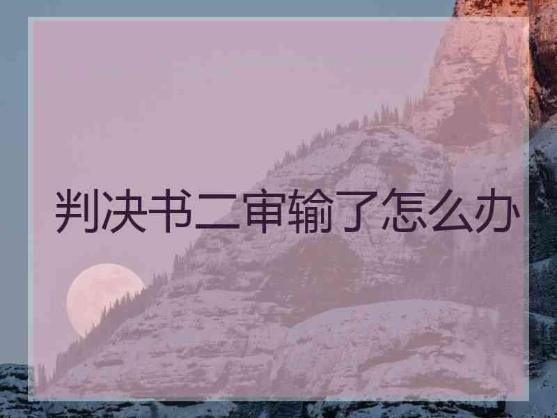 判决书二审输了怎么办