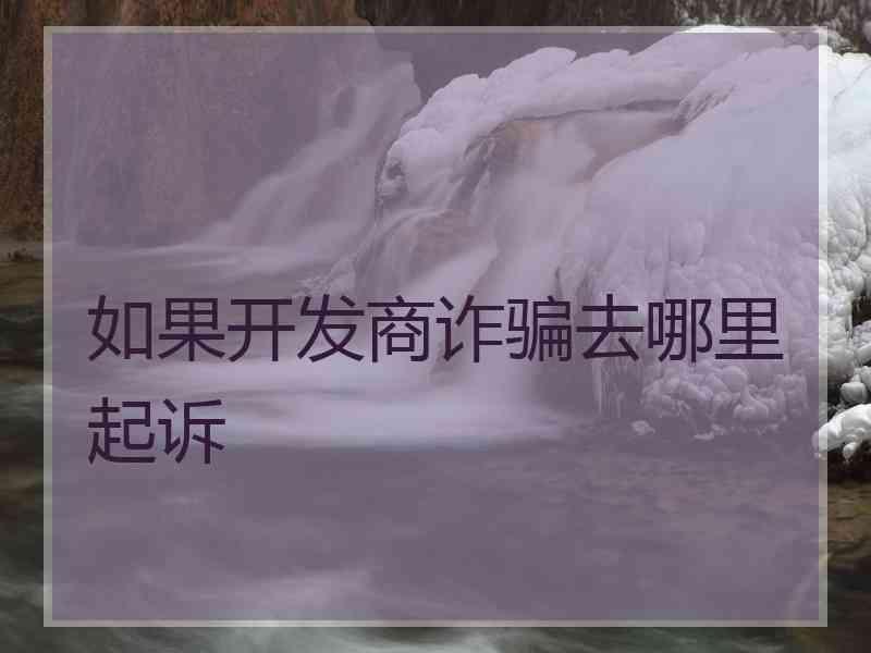 如果开发商诈骗去哪里起诉