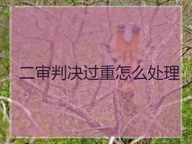 二审判决过重怎么处理