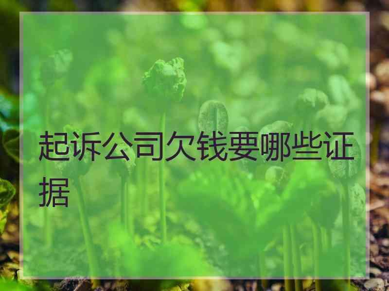 起诉公司欠钱要哪些证据