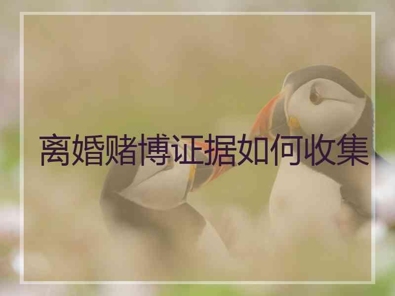 离婚赌博证据如何收集