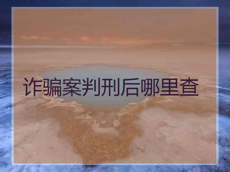 诈骗案判刑后哪里查